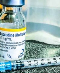 Buprenorphine (Buprenex) For Cats and Dogs